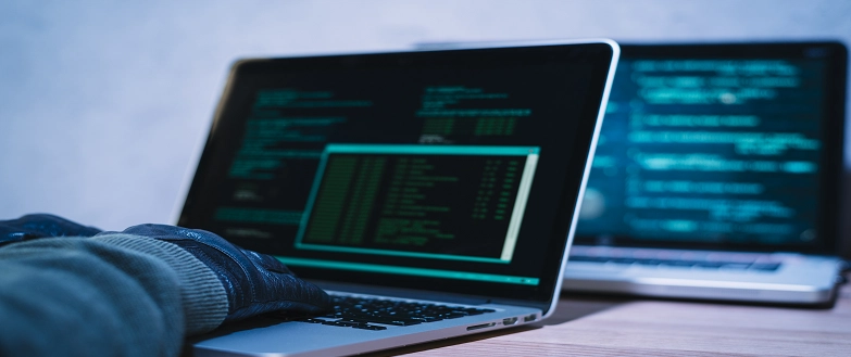 The Essential Guide to Web Security Scanning: Protecting Your Digital Assets