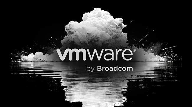 CVE-2024-37079 CVE-2024-37080