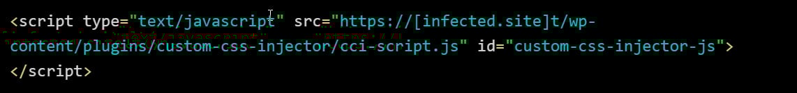 Injected JavaScript script