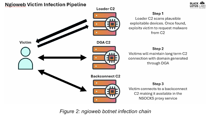 Ngioweb Botnet Ngioweb Botnet
