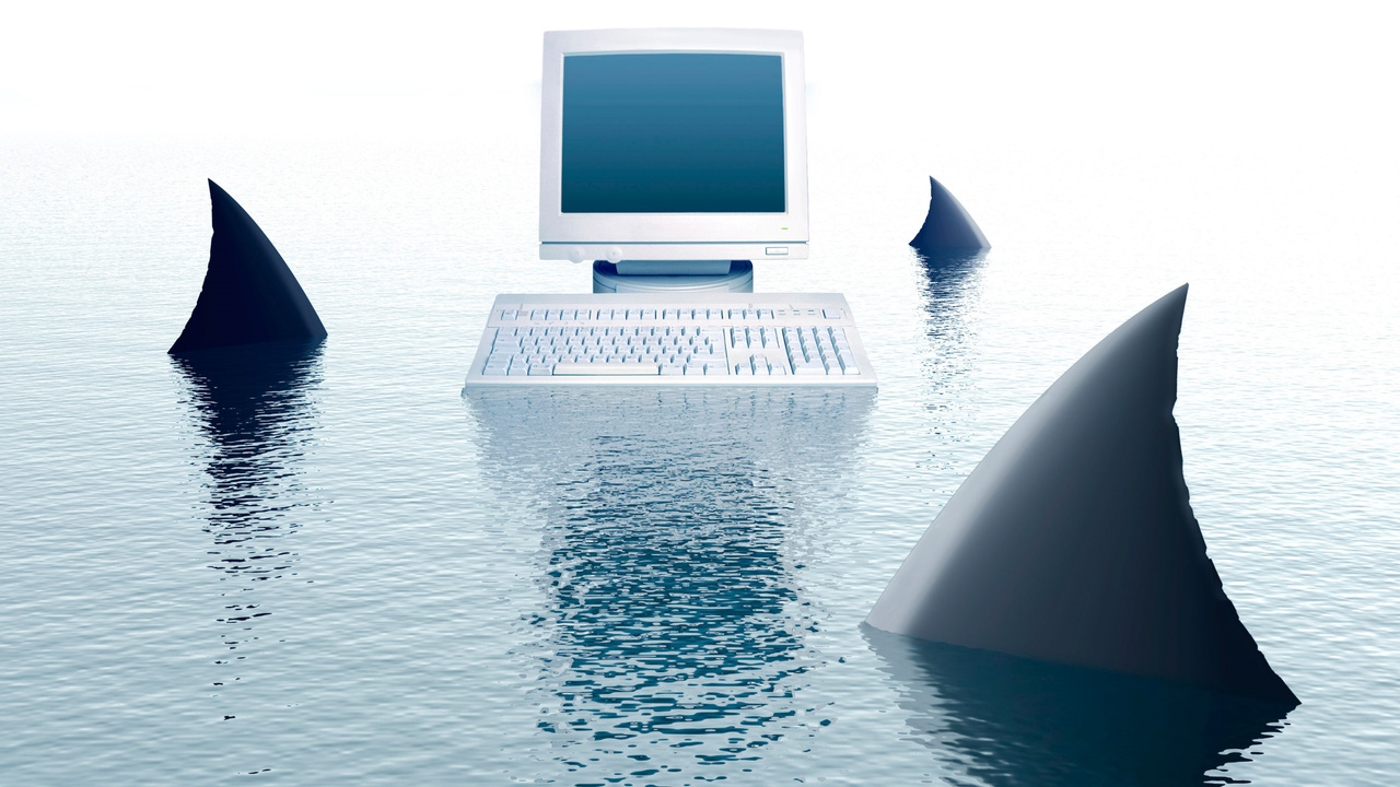 Sharks circling a computer 