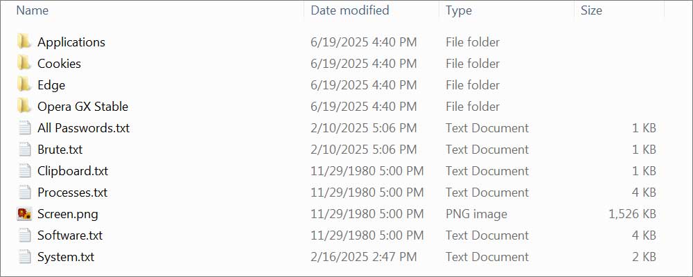 Example infostealer log