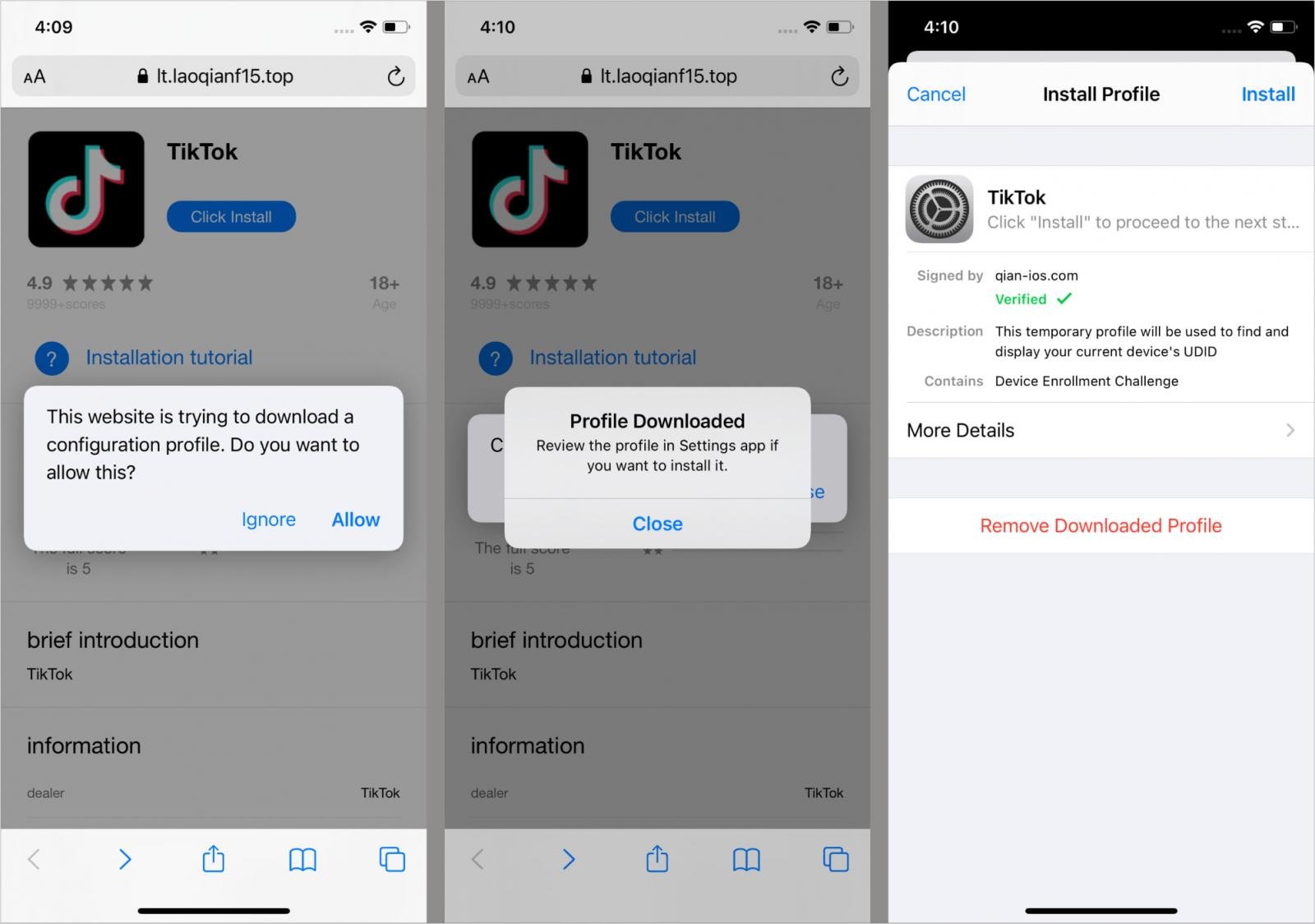 TikTok clone app installed via unofficial sites