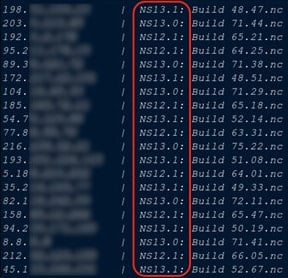 List of vulnerable NetScaler instances
