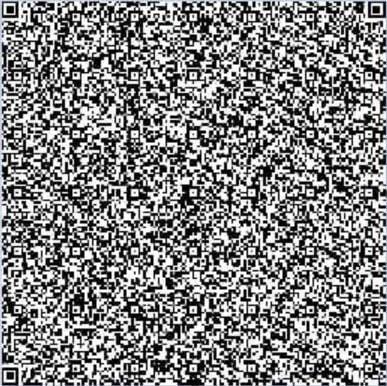 QR code returned by the malicious URL