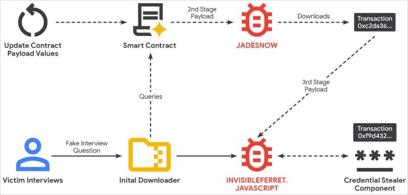The infection chain