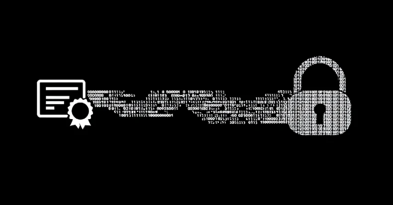 Rhysida Ransomware Campaign Rhysida Ransomware Campaign