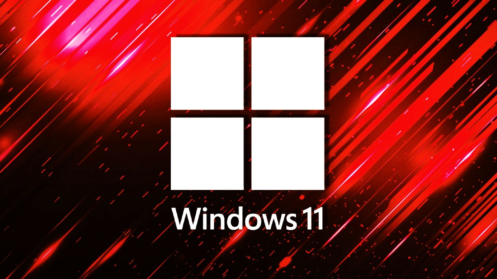 Windows 11 bug