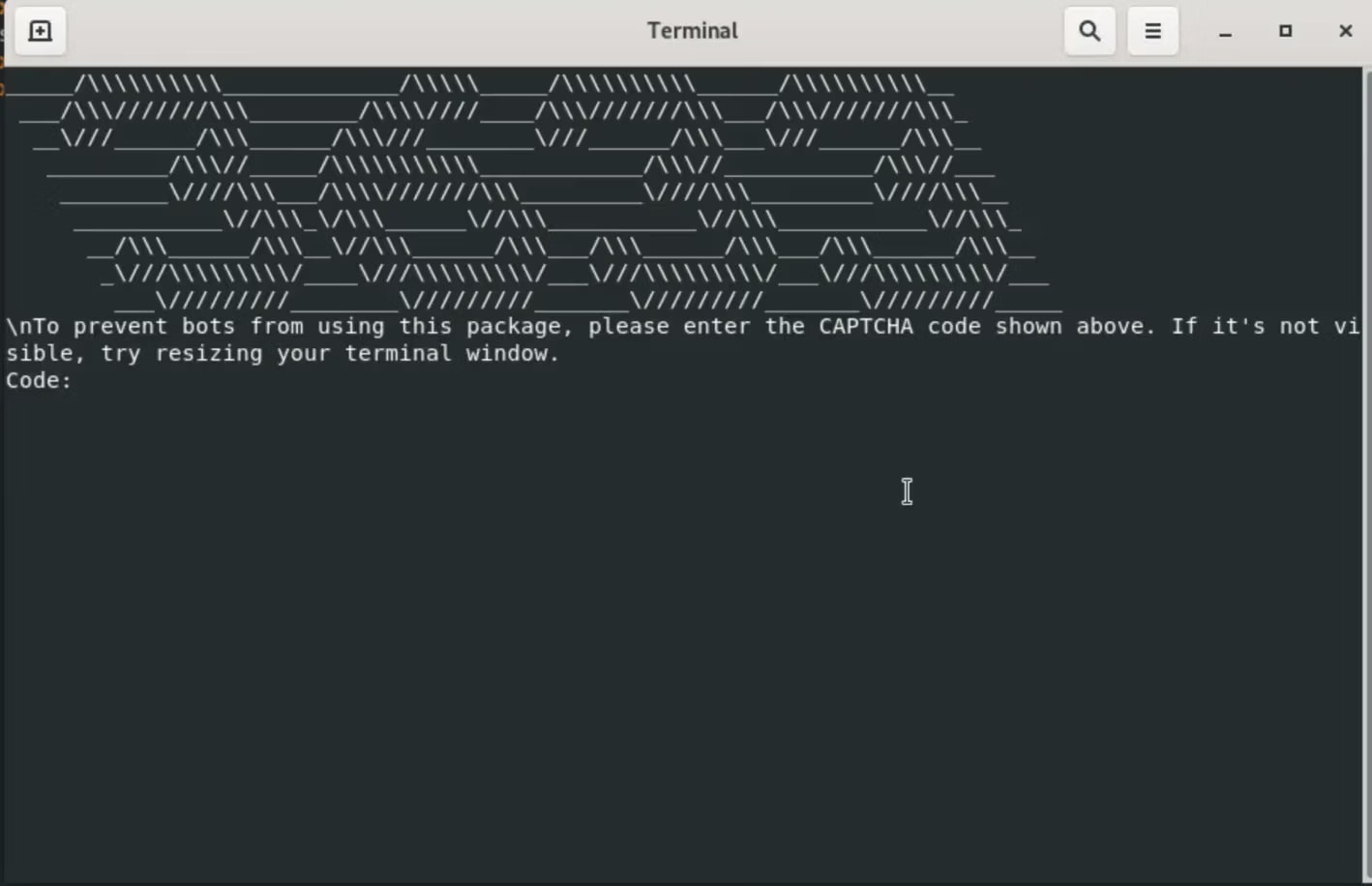 Fake ASCII CAPTCHA step