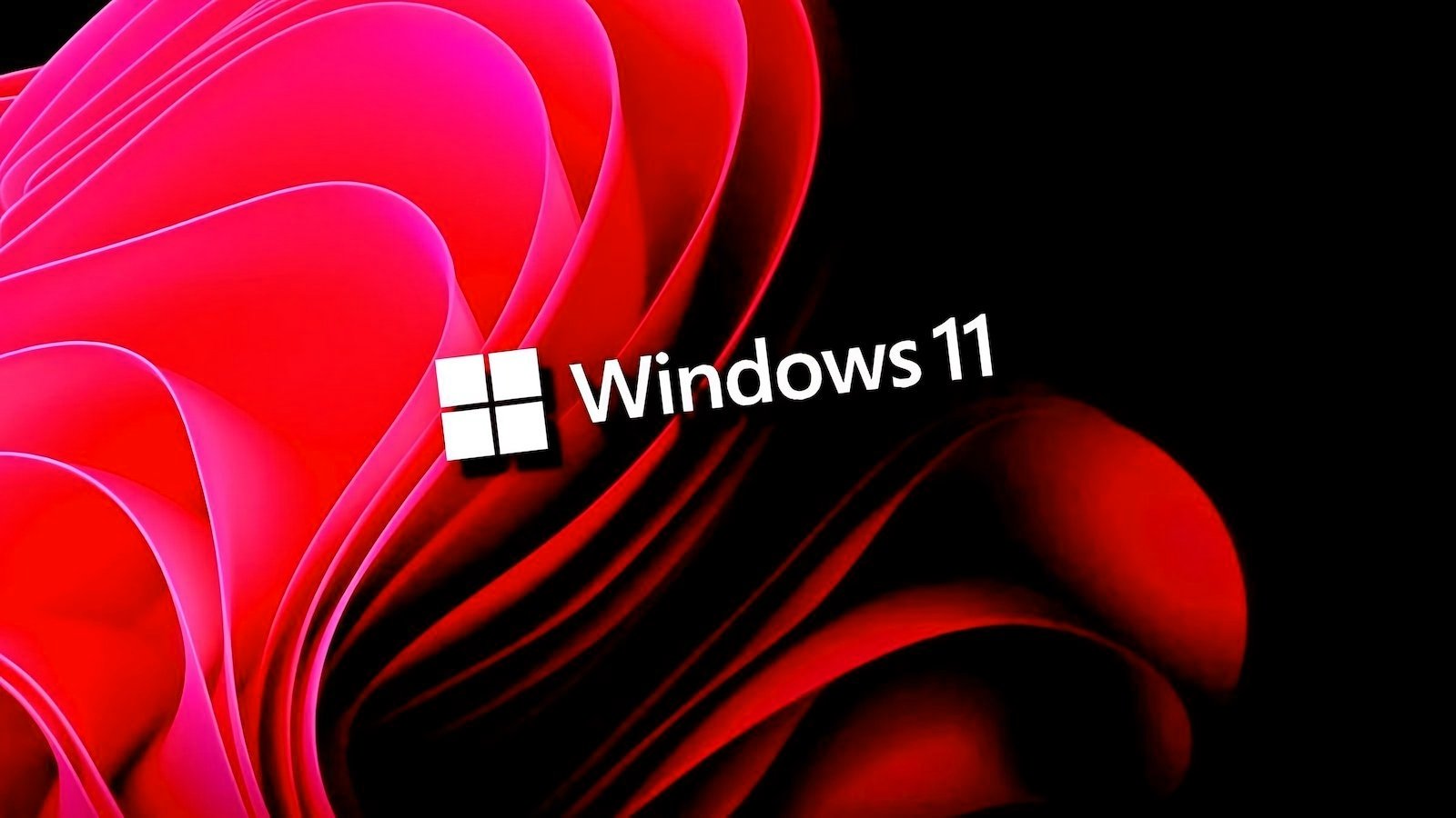 Windows 11