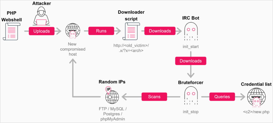 Infection chain