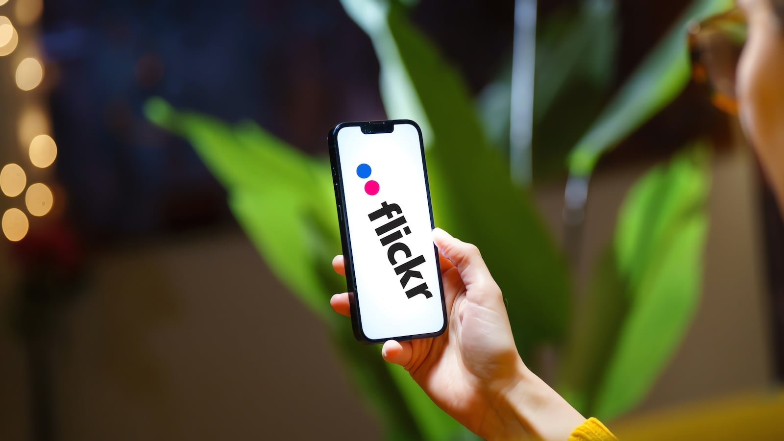 Flickr