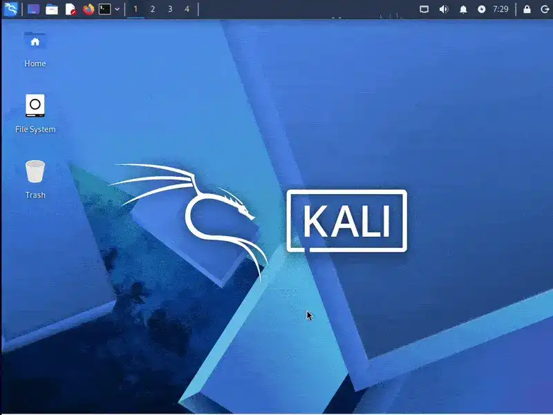 Kali BackTrack Mode