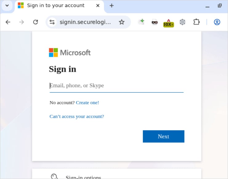 The phishing page