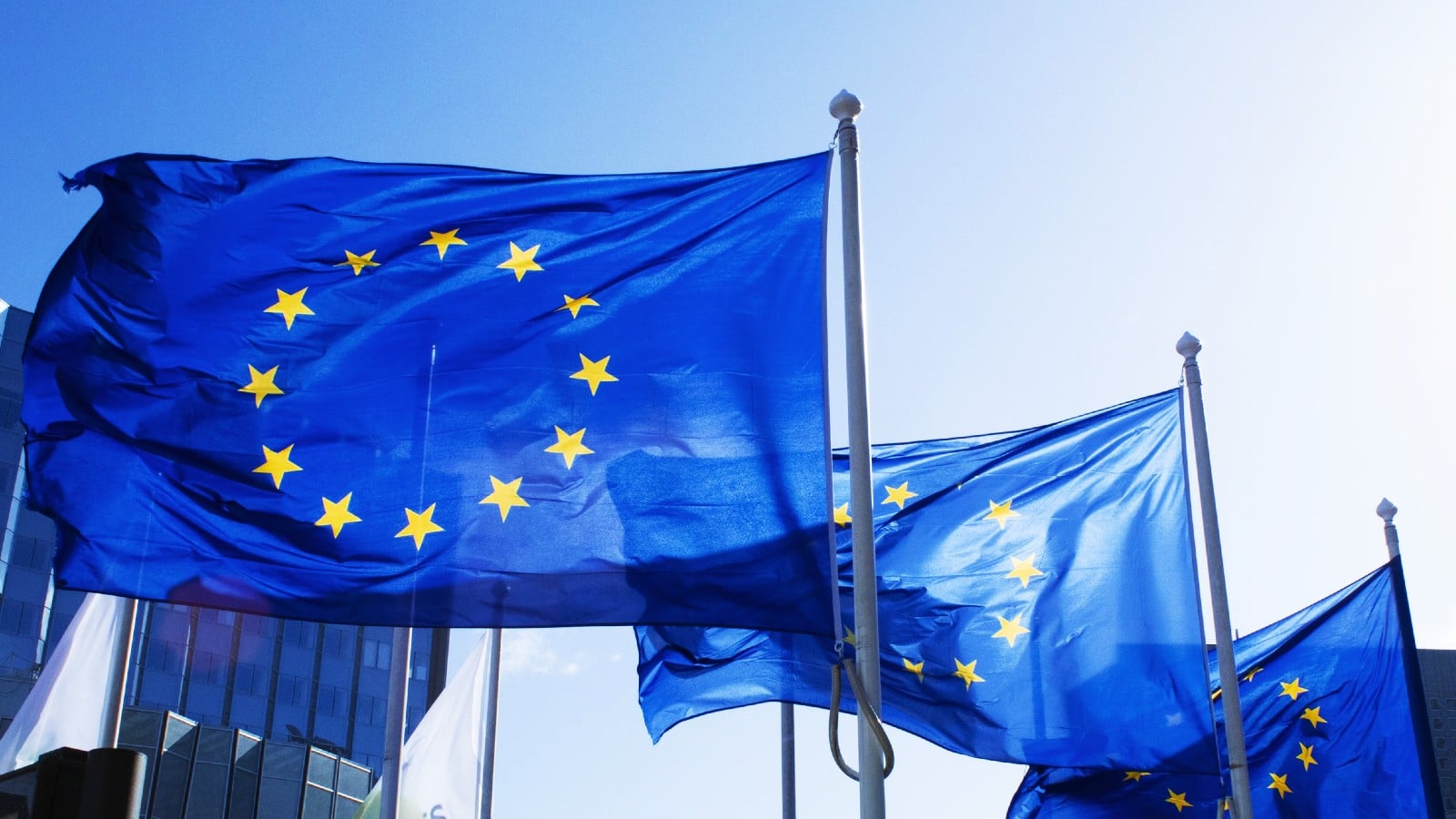 European Union flags