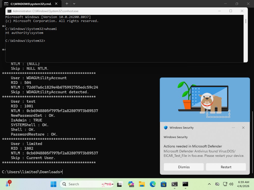 Exploit demo