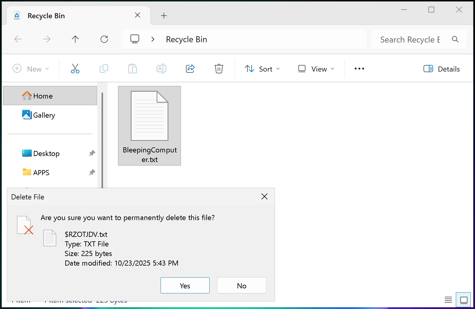 Recycle Bin bug