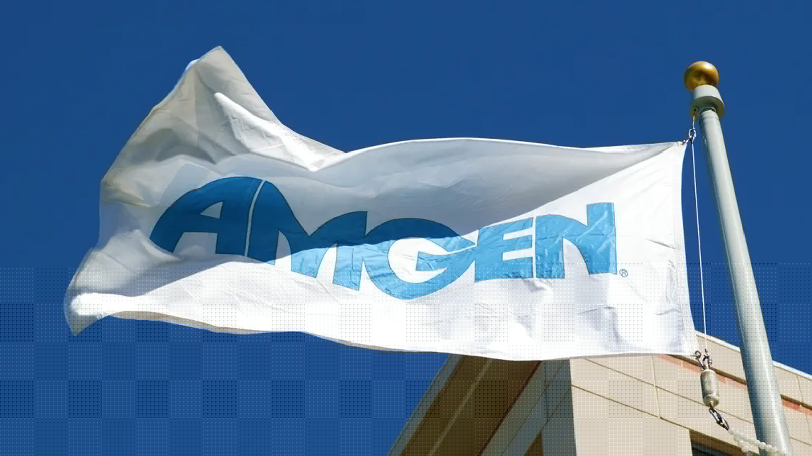 Amgen flag