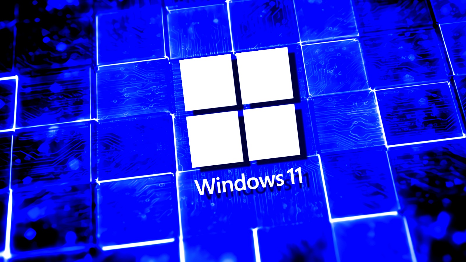 Windows 11