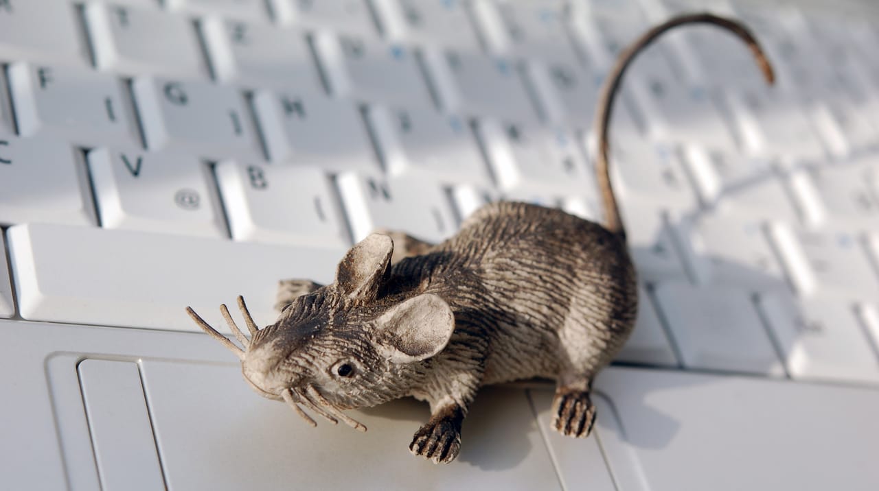 Toy rat on a laptop keyboard