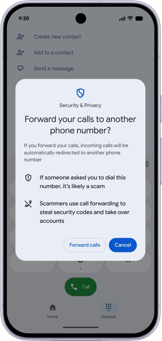 Call forwarding warning