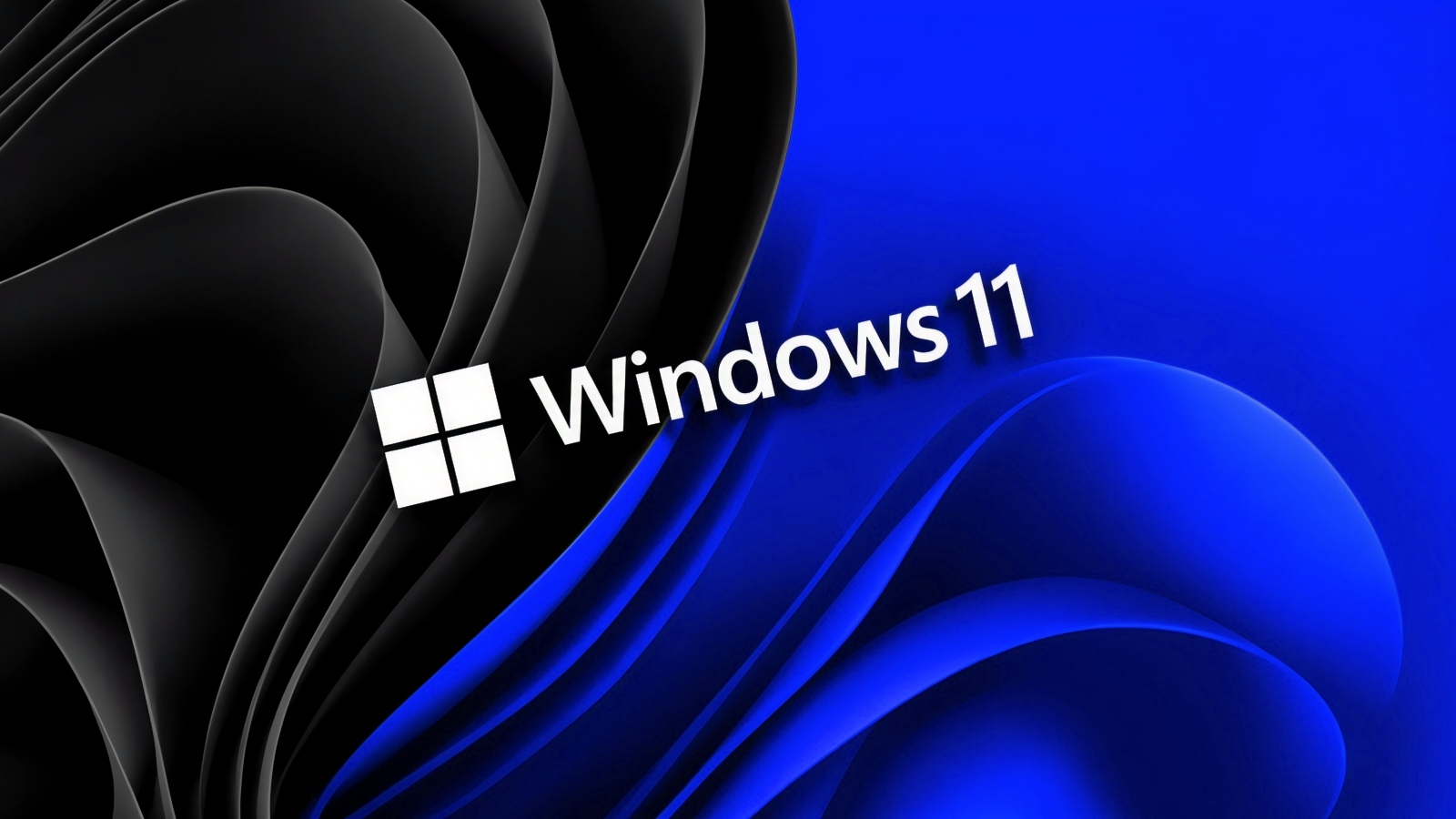 Windows 11
