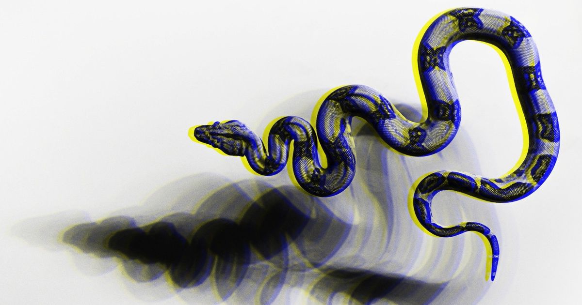 Hackers target Python devs in phishing attacks using fake PyPI site