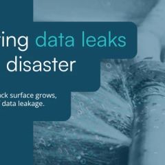 Detecting Data Leaks Before Disaster