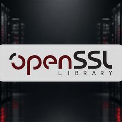 HollowByte DDoS flaw bloats OpenSSL server memory with 11-byte payload