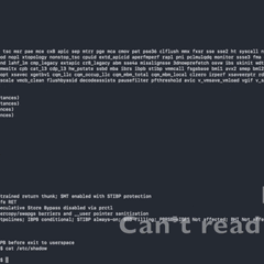 New Interrupt Injection Attack Can Bypass Spectre v2 Defenses on Intel and AMD CPUs
