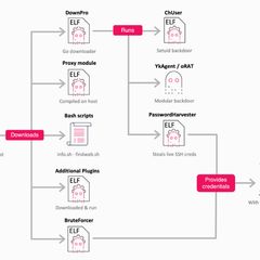 Malicious Apache Modules Hijack Brazilian Government Site Traffic to Push Betting Pages