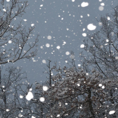 Russia's Star Blizzard Ditches ClickFix to Widen Phishing Net